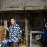 Qui vengono allevati una ventina di tacchini e galline 